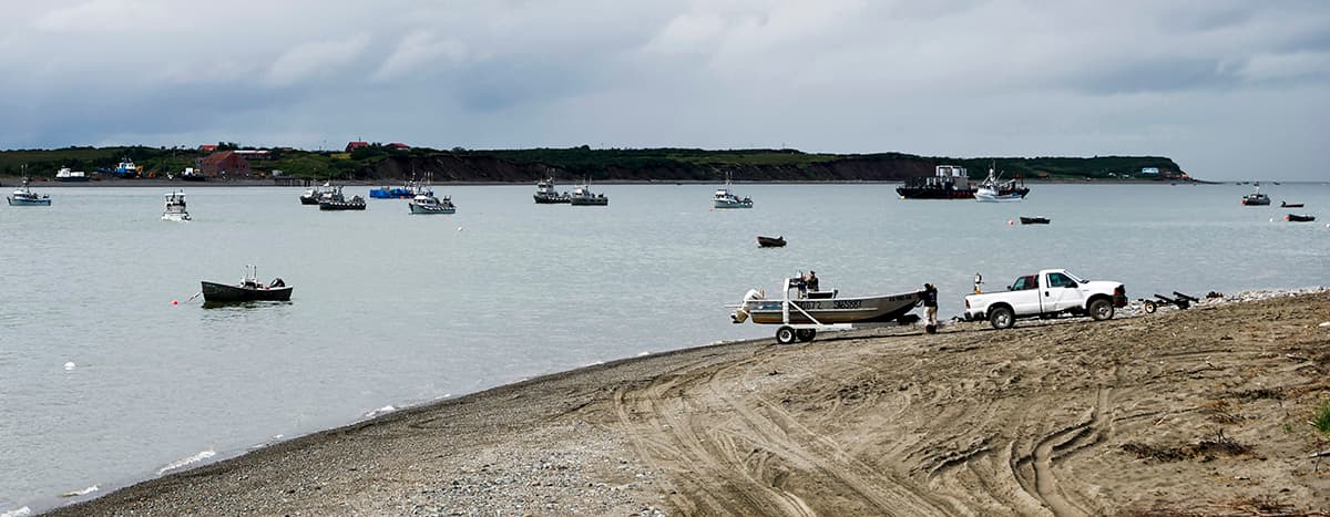 Proudly flying fresh sockeye from a thriving Bristol Bay fishery that sustains traditions as well as livelihoods 