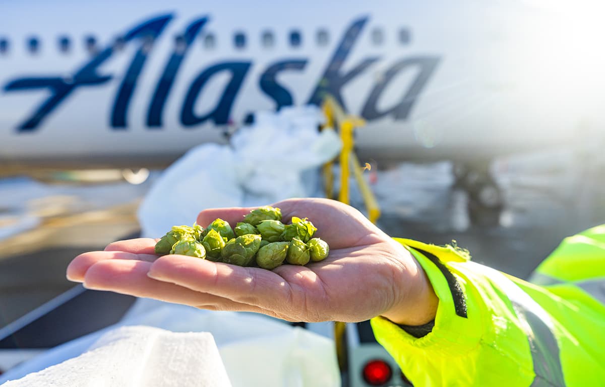 A toast to new California collaborations in our third year making “Fresh Hops Fly” 