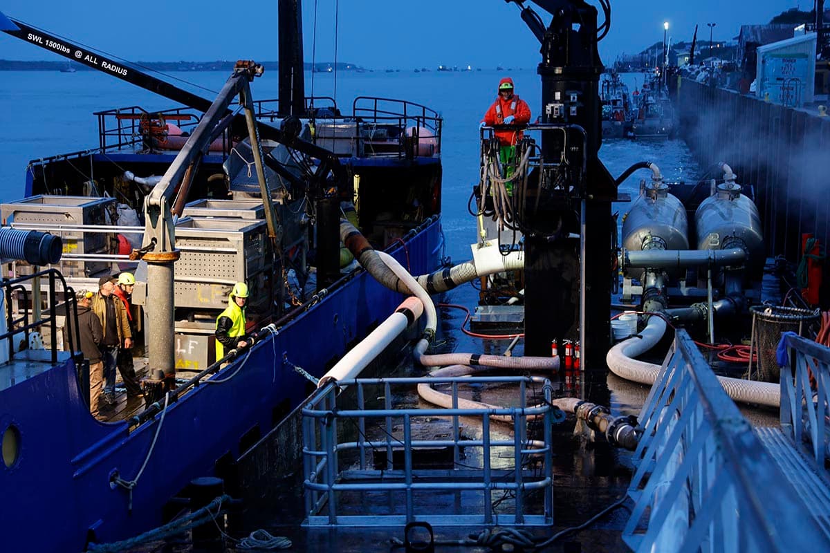 Offloading salmon at the dock.