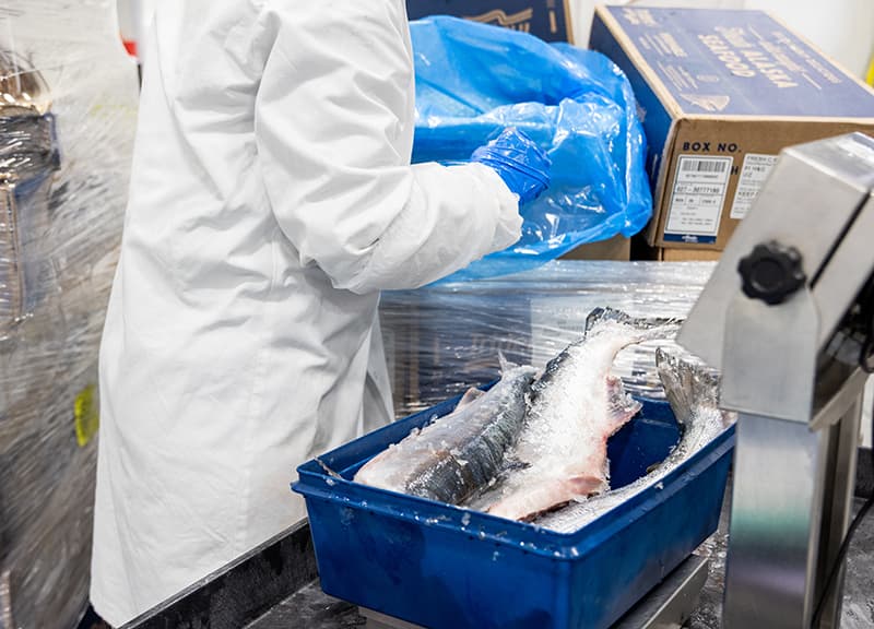 Fresh salmon at Whole Foods Market
